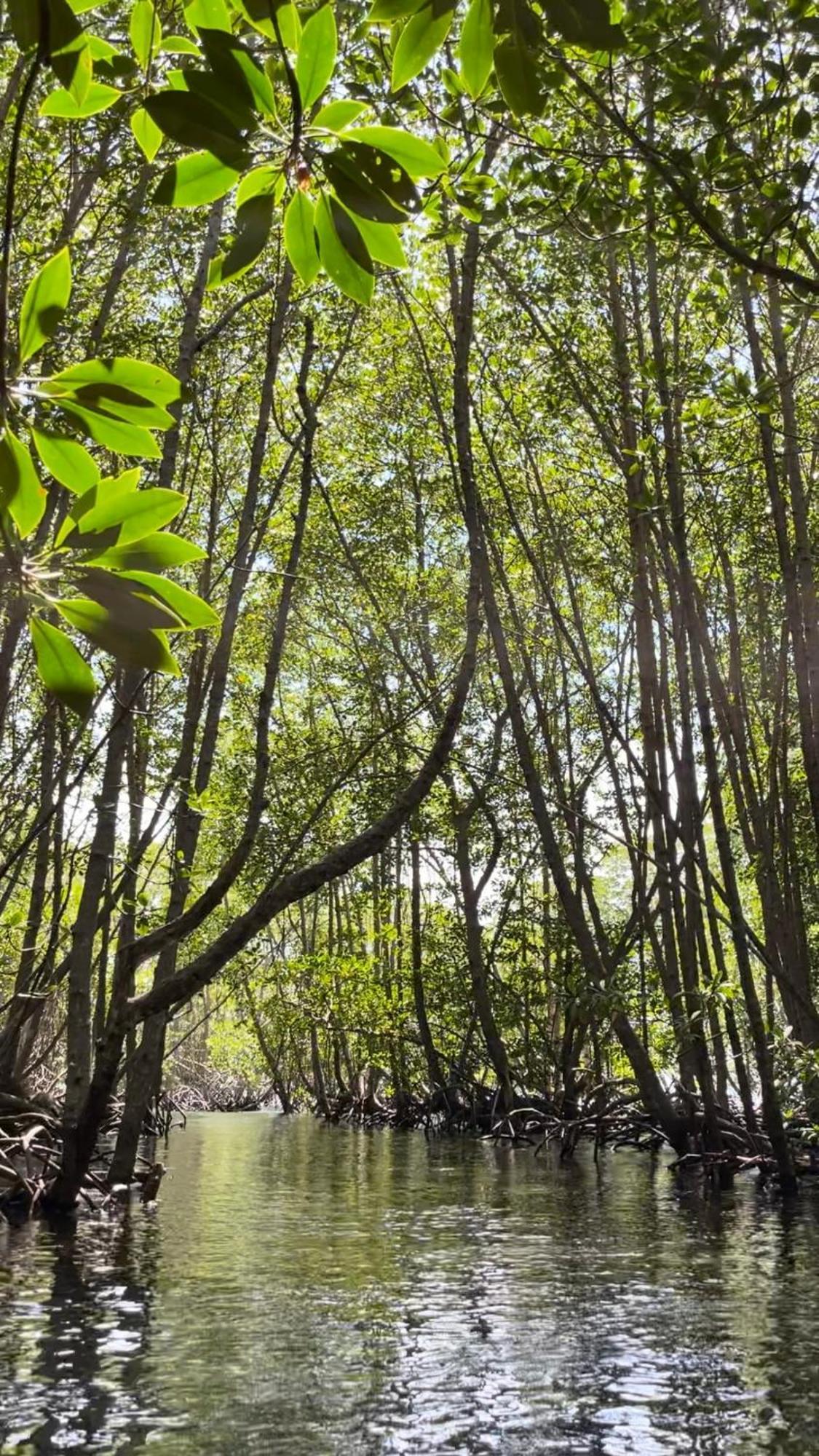 Mangrove Beach Hut Nusa Lembongan  Ngoại thất bức ảnh
